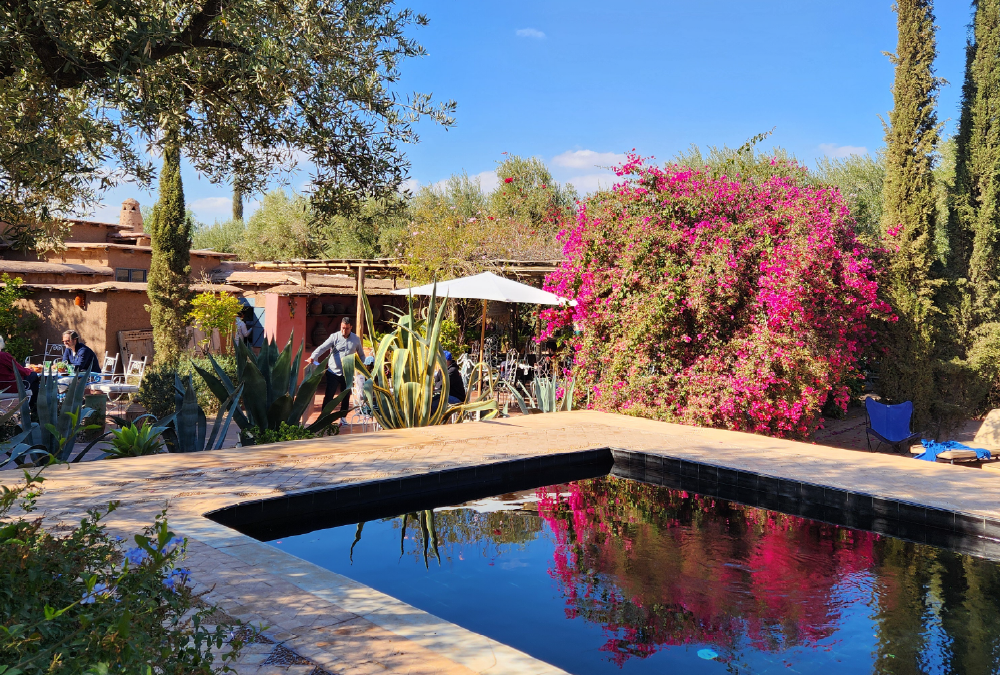 VOYAGE RÉCOMPENSE AU MAROC